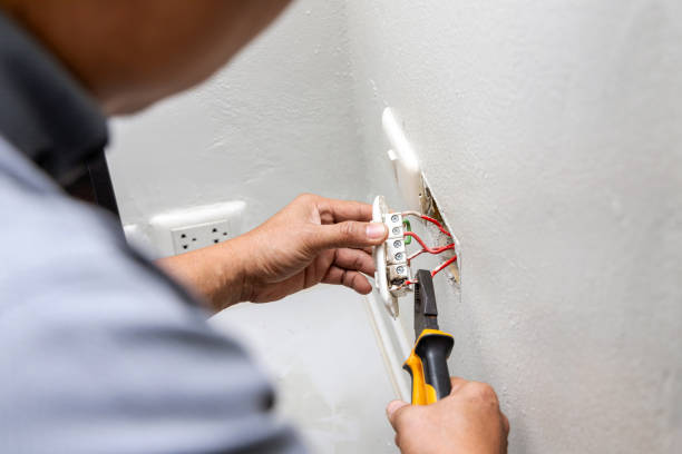 Best Electric Panel Repair  in Craig Beach, OH